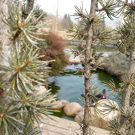 Tatil Evi El Refugio De Santi *
